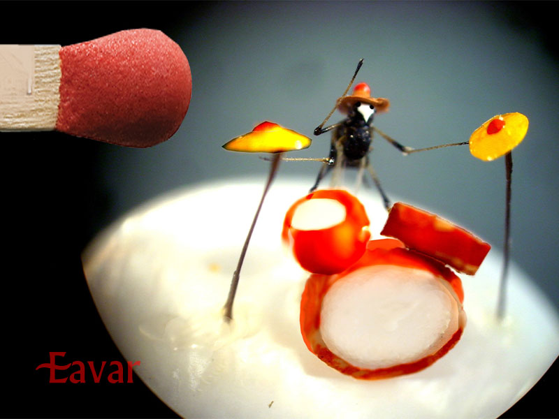 موزه میکرو مینیاتور از موزه های کوش آداسی