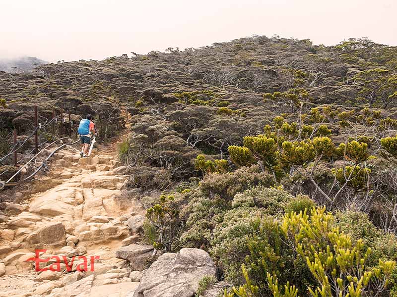 سفر به مالزی در بهار