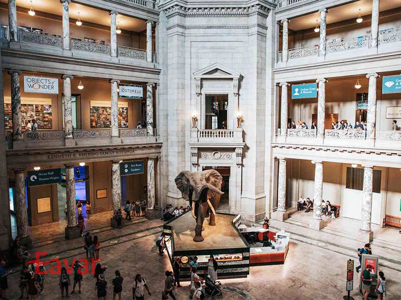 موزه ملی تاریخ طبیعی واشنگتن