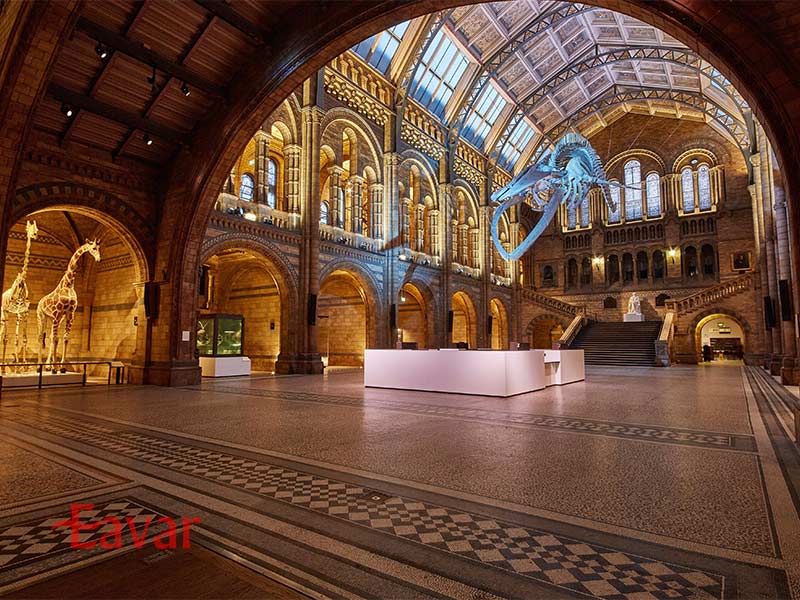 موزه تاریخ طبیعی لندن از موزه های مهم انگلیس