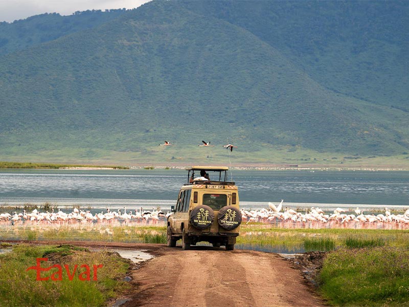 انگورونگورو از مقاصد سافاری در تانزانیا