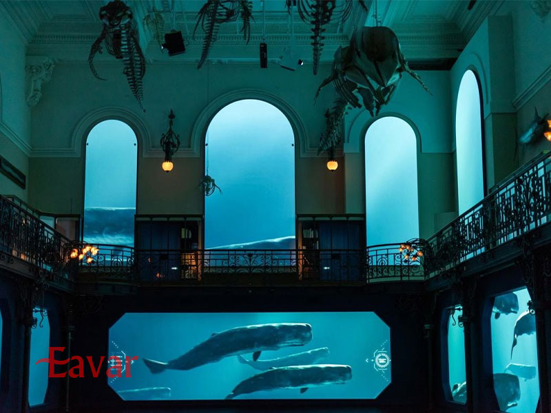 موزه اقیانوس شناسی موناکو از موزه های موناکو