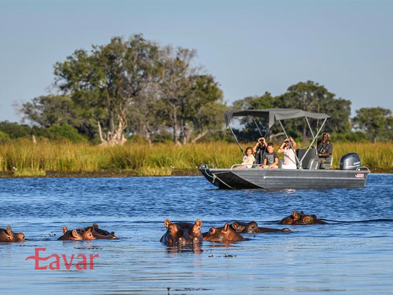 سافاری دلتای اوکاوانگو در آفریقا