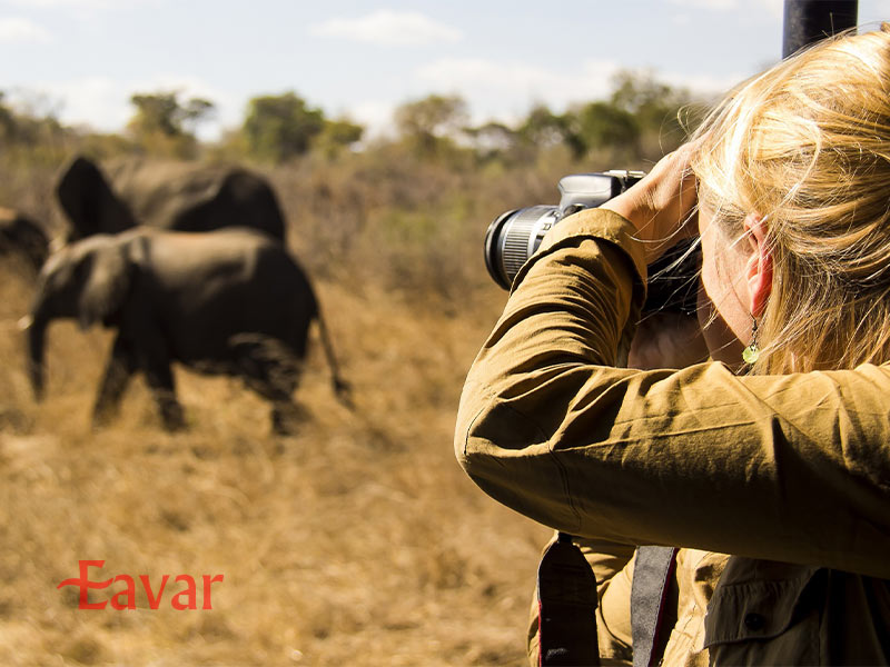 سافاری عکاسی از انواع سافاری