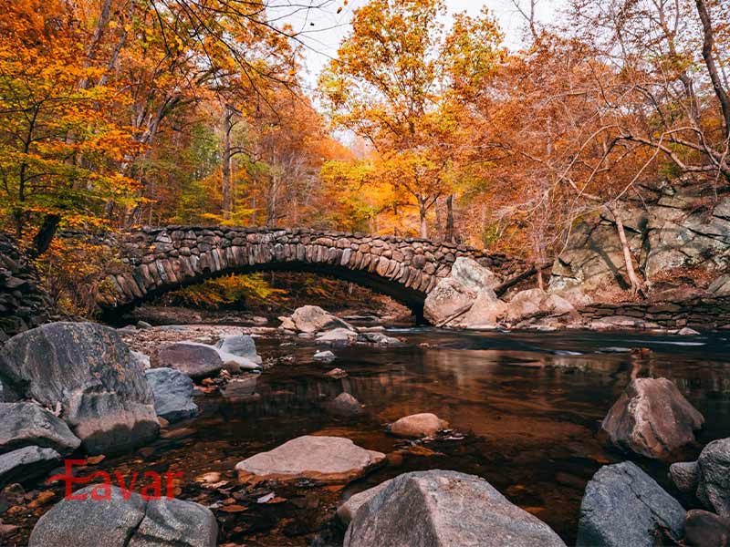 پارک راک کریک از جاذبه های طبیعی واشنگتن