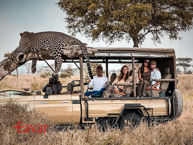 سافاری در آفریقا