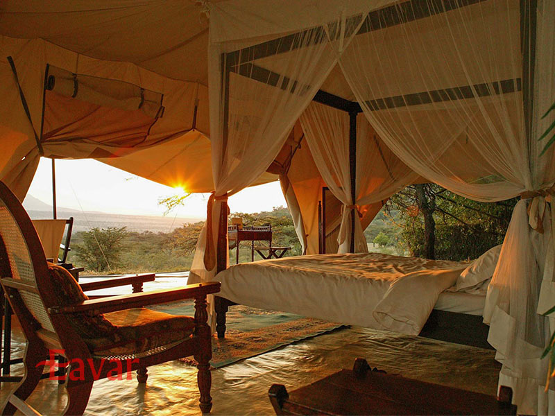 اقامت در سافاری