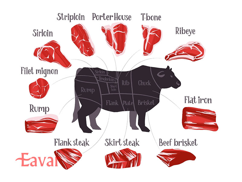 انواع برش استیک