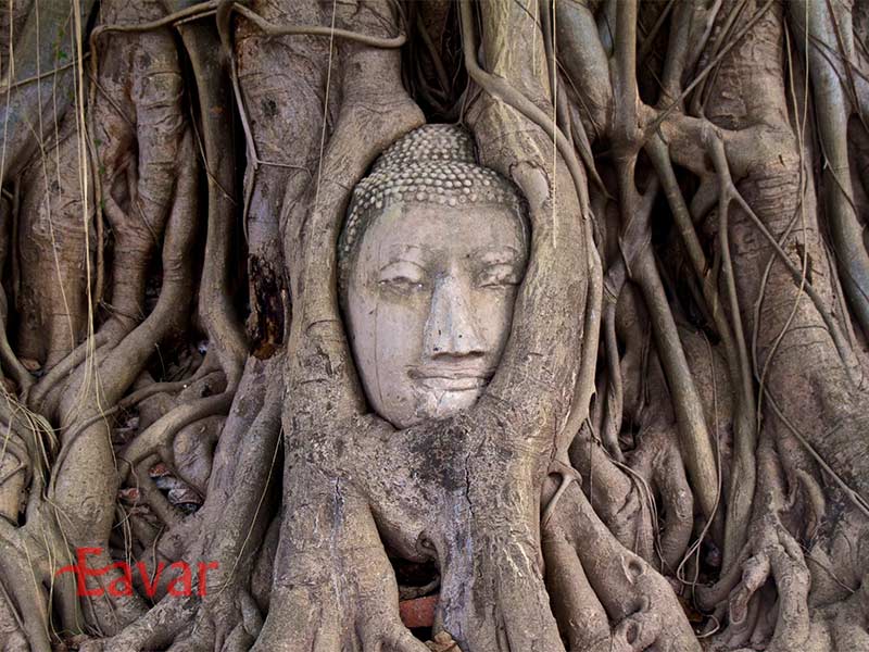 پارک تاریخی آیوتایا از جاهای دیدنی تایلند