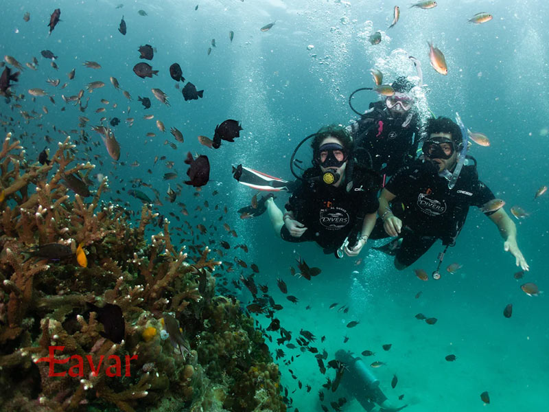 غواصی و اسنورکلینگ از تفریحات تایلند