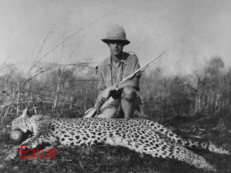 تاریخچه سافاری