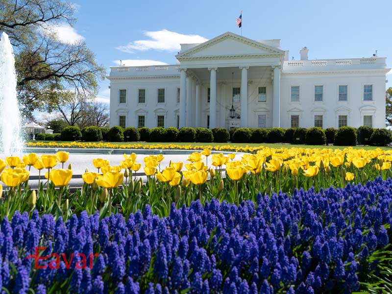 کاخ سفید از دیدنی های واشنگتن