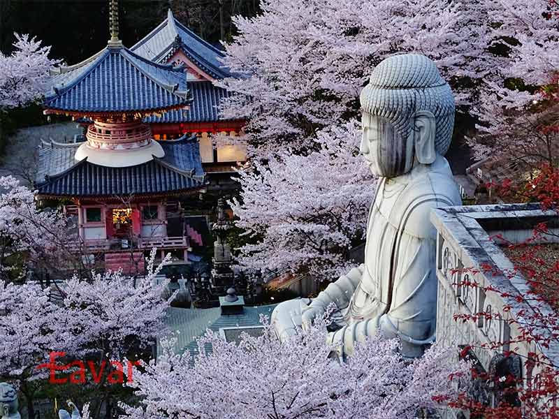 بودای معبد تسوبوساکا؛ ژاپن