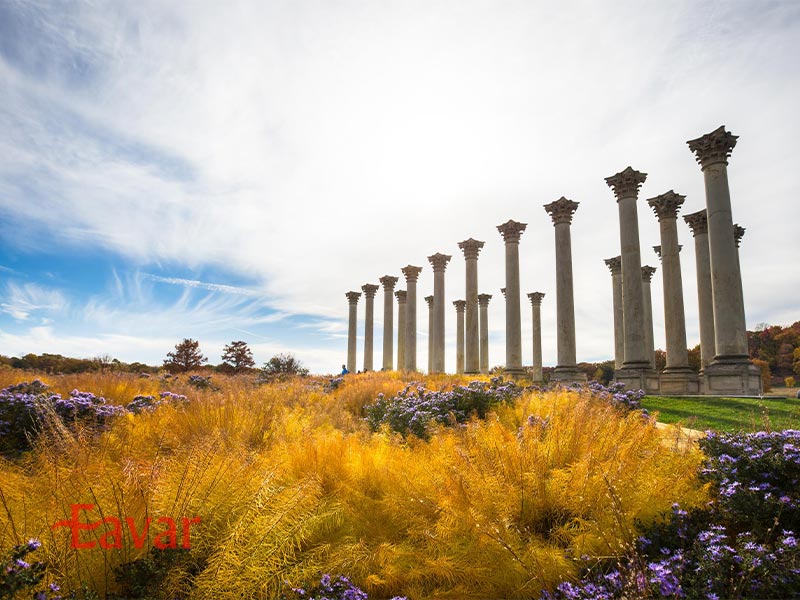 باغ ملی ایالات متحده در واشنگتن