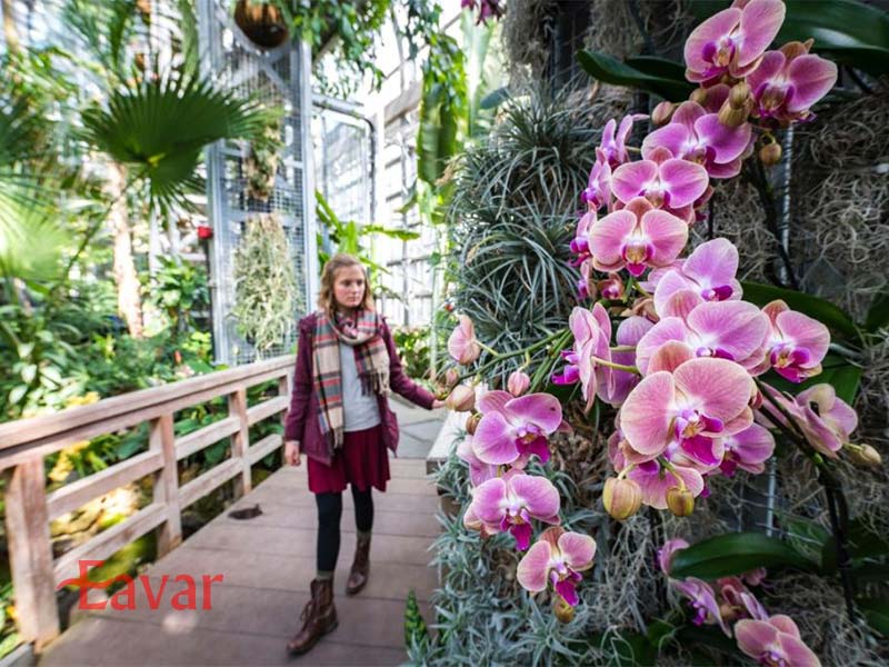 باغ گیاه شناسی ایالات متحده از جاذبه های گردشگری واشنگتن