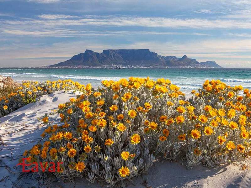 سفر به آفریقای جنوبی در بهار