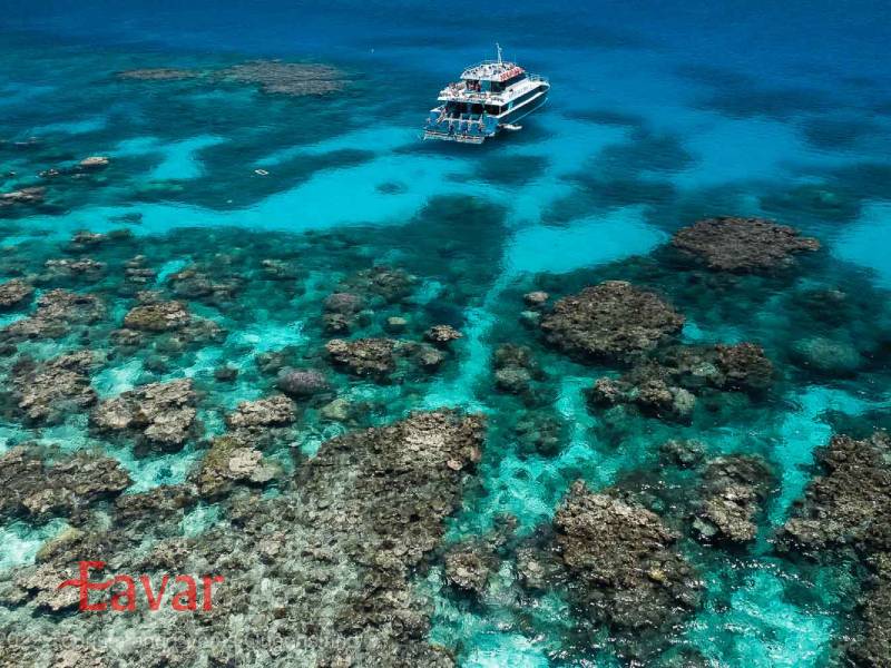 دیواره بزرگ مرجانی؛ ایالت کوئینزلند