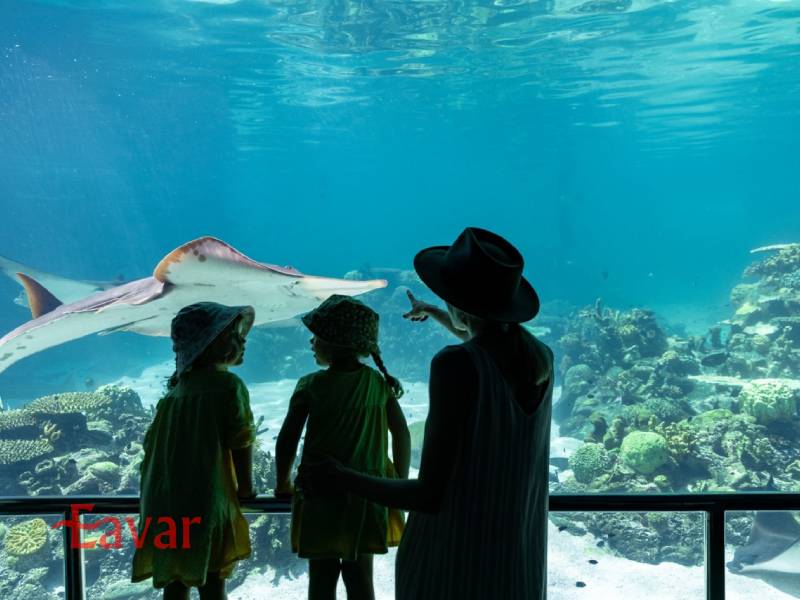 پارک دریایی سی ورلد؛ کوئینزلند