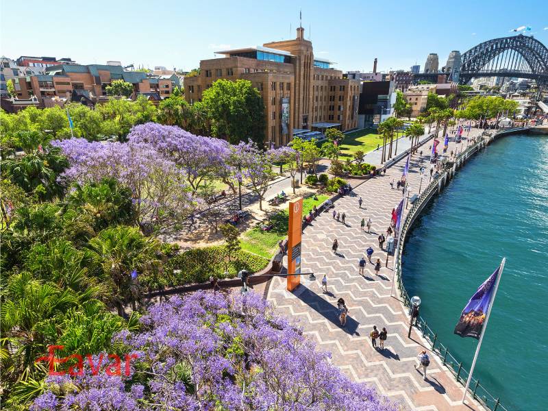 محله راکس؛ سیدنی