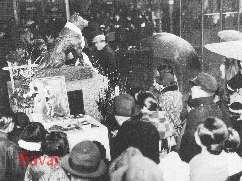 مجسمه هاچیکو در سالگرد اول مرگ