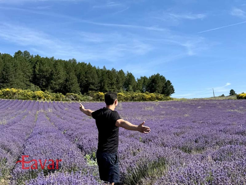 طراحی تجربه در سفرهای طبیعت گردی