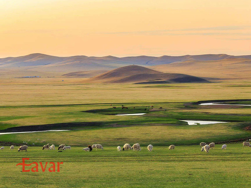 چمنزارهای اوردوس