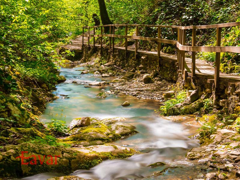 پارک ملی سوچی از دیدنی های سوچی