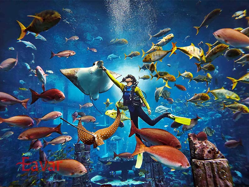 آکواریوم دبی از جاهای دیدنی دبی