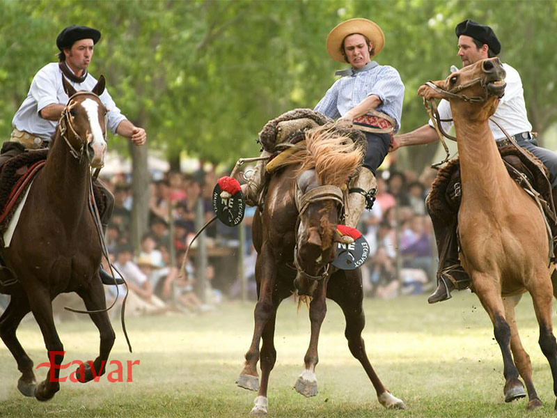 گائوچو در بوینس آیرس