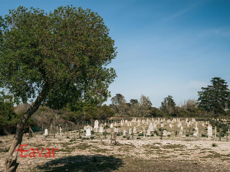 قبرستان جزیره روبن