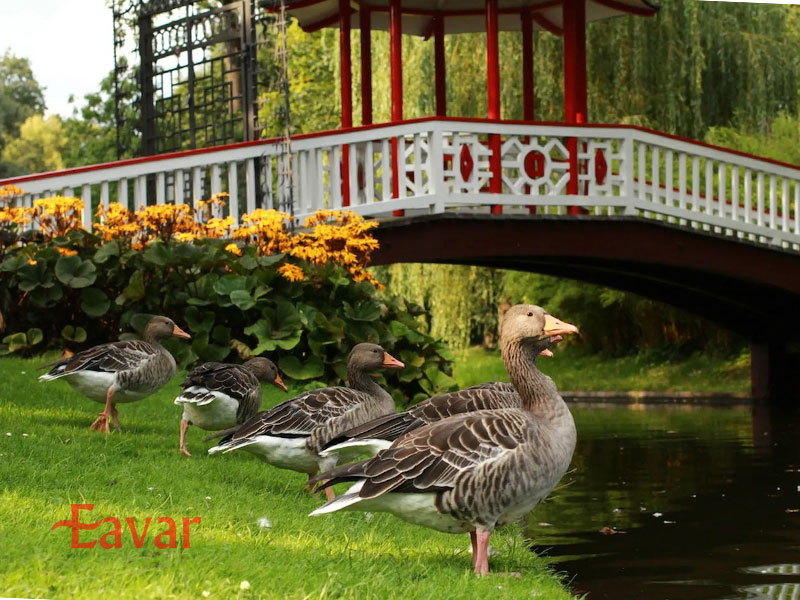 پارک ملی شارجه از مقاصد گردشگری شارجه