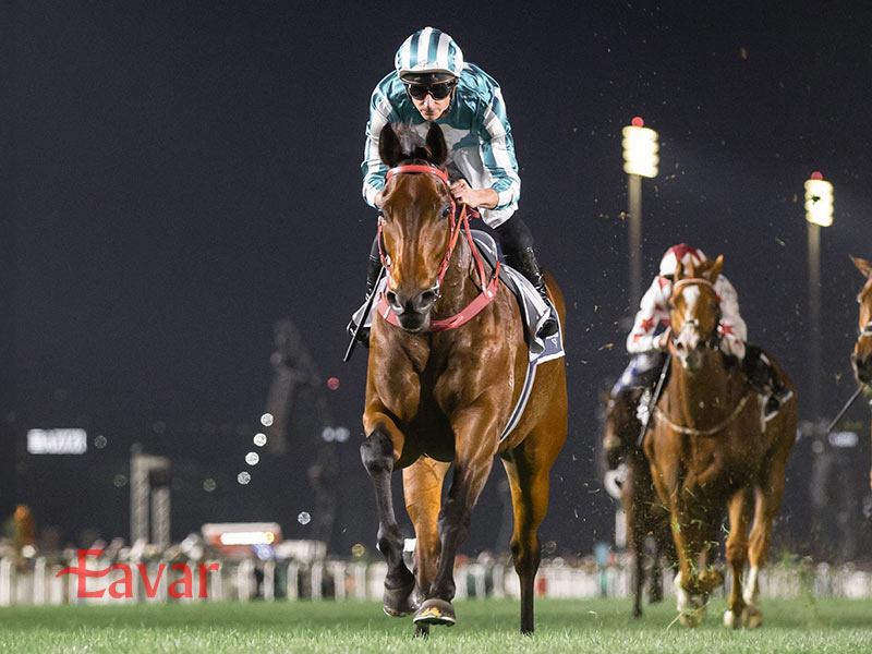 جام جهانی اسب دوانی دبی از رویدادهای ورزشی دبی