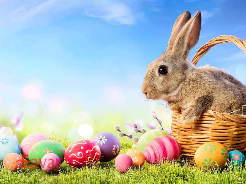 خرگوش از نمادهای عید پاک