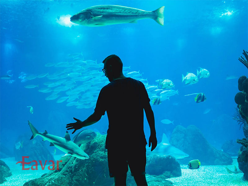 آکواریوم لیسبون از جاذبه های گردشگری پرتغال