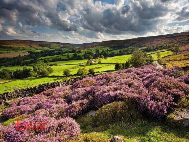 پارک ملی نورث یورک مورز انگلیس