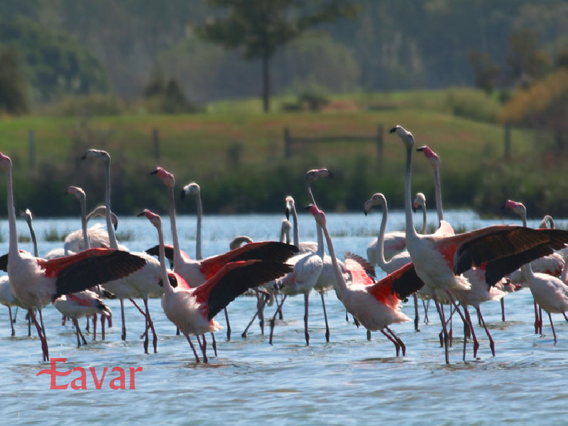 پارک طبیعی ریا فورموسا از مکان های طبیعی پرتغال