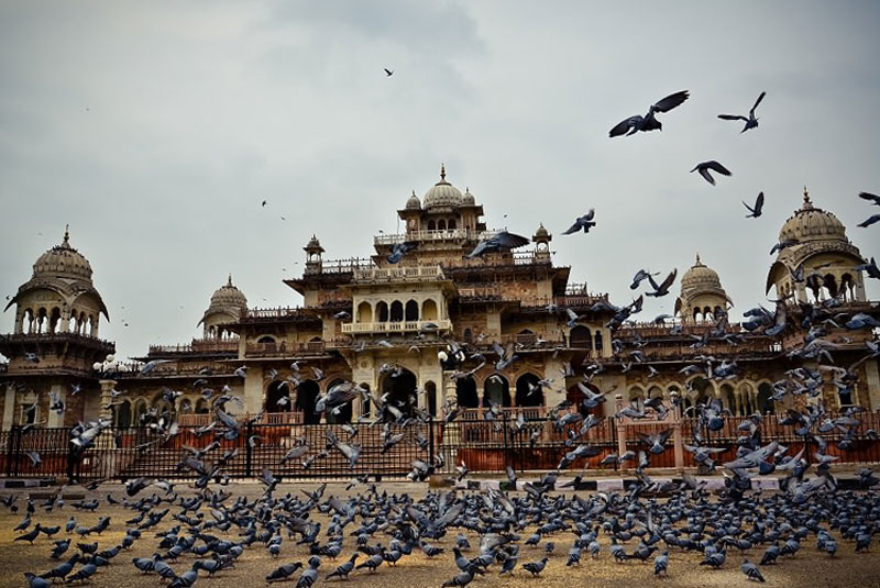 موزه آلبرت هال از مکان های دیدنی جیپور