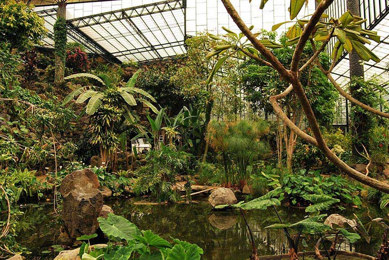 بخش های مختلف پارک ادوارد هفتم