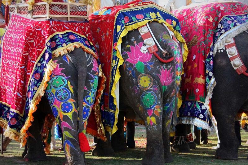 الفنتستیک از جاذبه های گردشگری جیپور