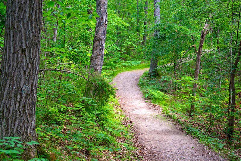 پارک گاتینو از جاهای دیدنی اوتاوا