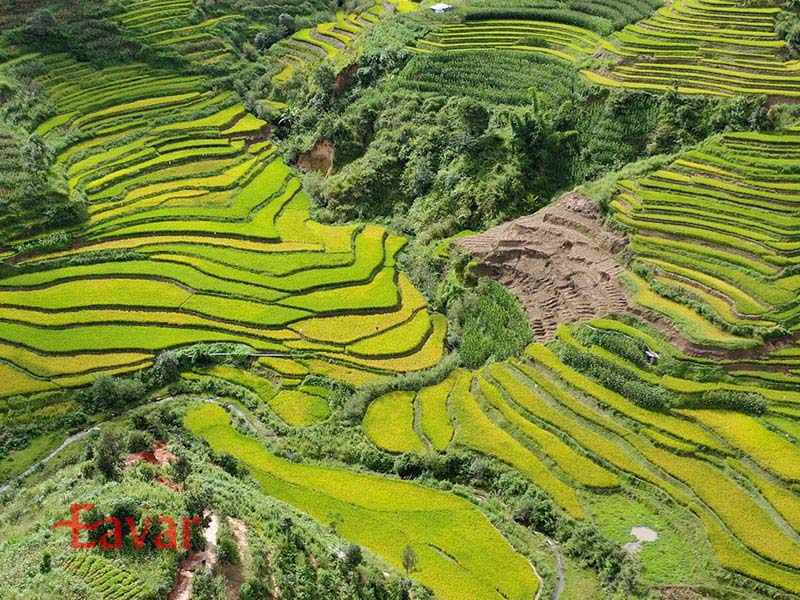 شالیزارهای پلکانی هانی در چین