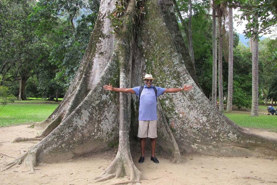 باغ گیاه شناسی ریودوژانیرو در تور برزیل ایوار