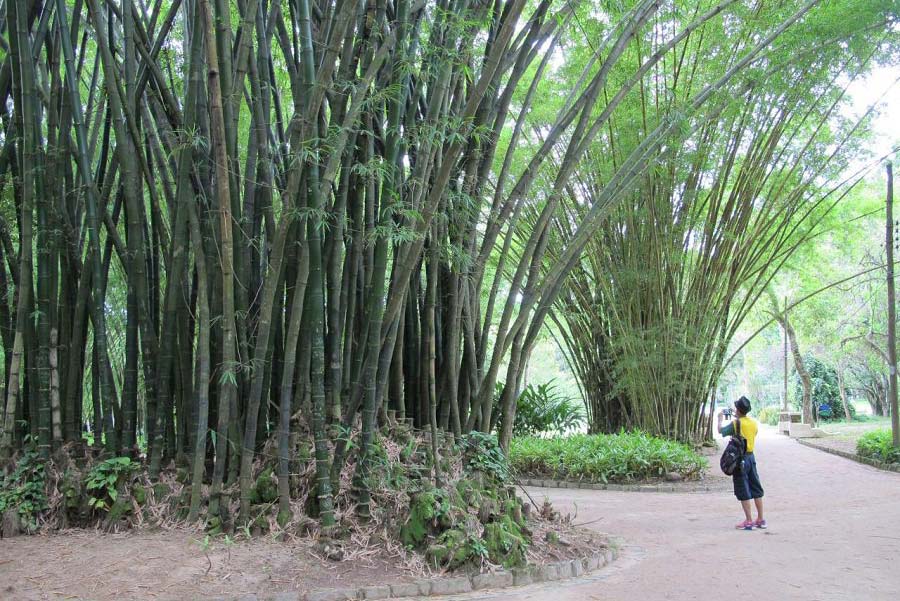 دیدنی های ریودوژانیرو در تور برزیل ایوار