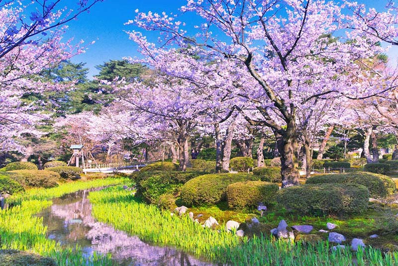 باغ کنروکوئن در ژاپن