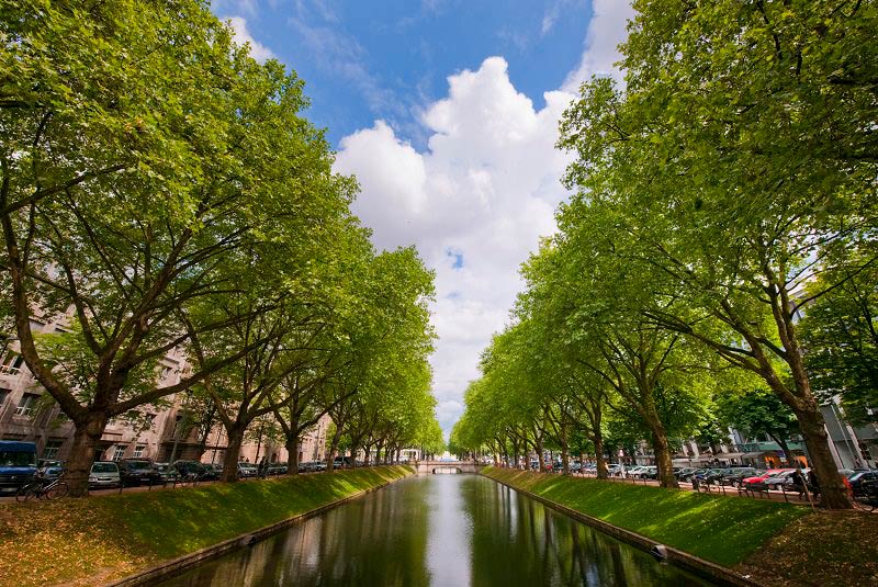 کنیزالی از جاهای دیدنی دوسلدورف آلمان