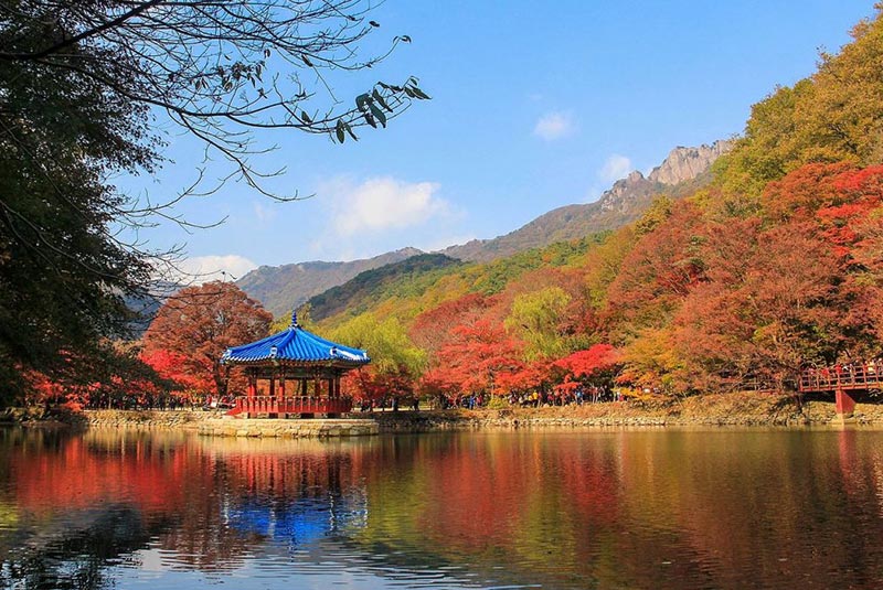 نایانگسان از دیدنیهای جئونجو
