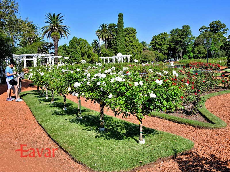باغ رز پالِرمو از پارک های بوینس آیرس