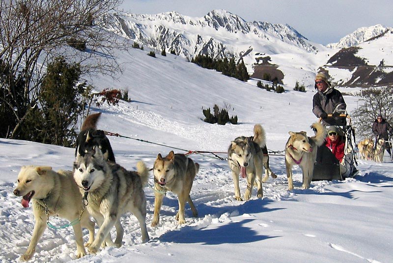 پیراگود فرانسه