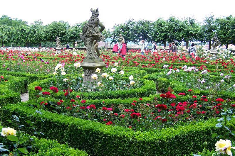 باغ گل رز از جاهای دیدنی برن سوئیس