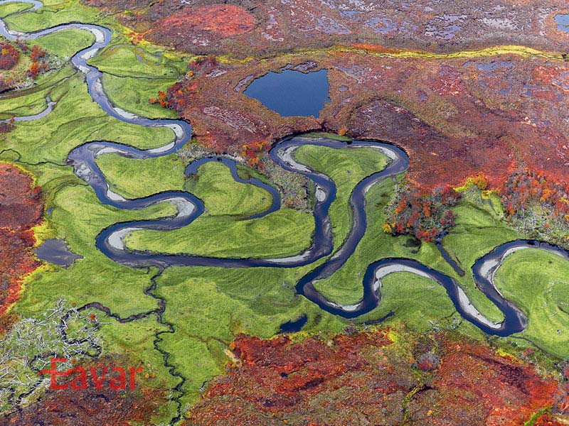 پارک ملی یندگایا از پارک های ملی شیلی